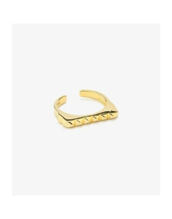 Montre Femme Radiant RY000216