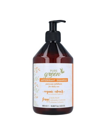Shampooing Antioxidant Pure Green