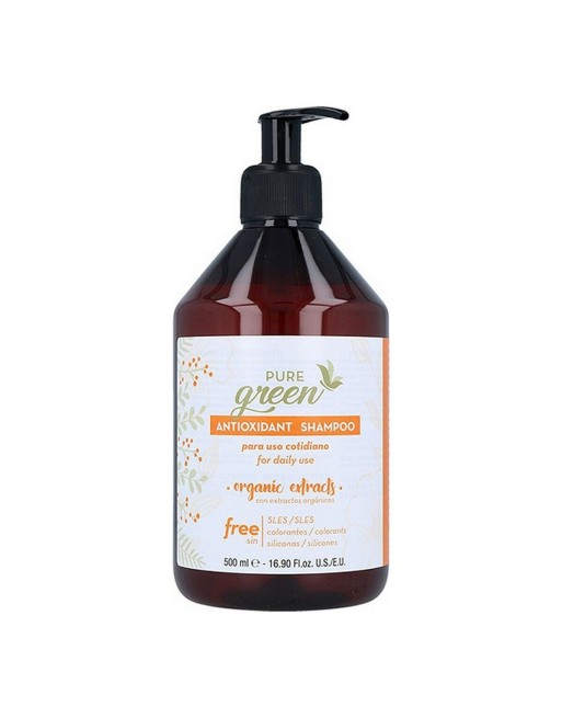 Shampooing Antioxidant Pure Green