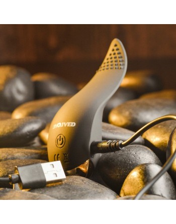 Massager Evolved Sort