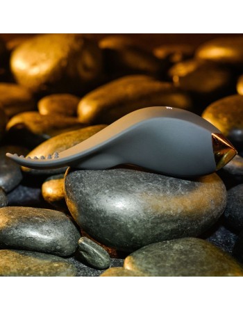 Massager Evolved Sort