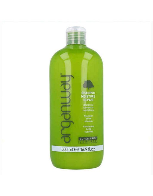 Shampooing Moisture Repair Arganway Moisture Repair 500 ml (500 ml)