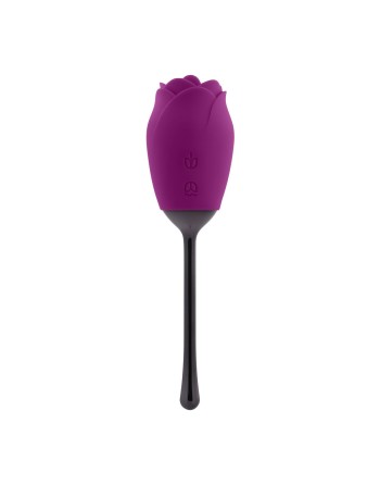 Stimulateur clitoridien Playboy Violet