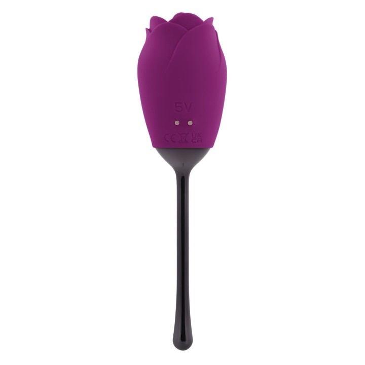 Stimolatore per il Clitoride Playboy Viola