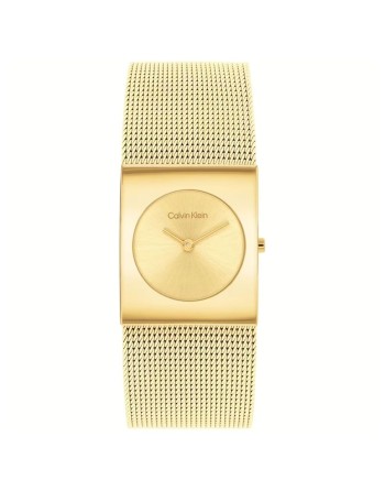 Montre Homme Calvin Klein 1693551