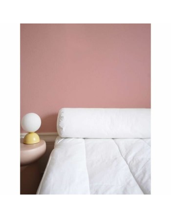 Puden Toison D'or Pollux