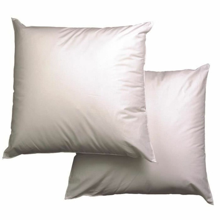 Cuscino Blanreve 60 x 60 cm (4 Unità)