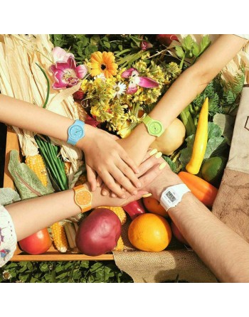 Reloj Mujer Casio LQ-24B-3BEF