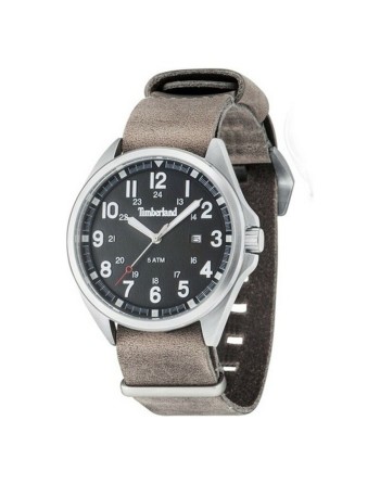 Men's Watch Timberland 14829JS-02-AS