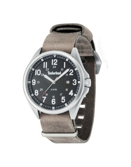 Men's Watch Timberland 14829JS-02-AS
