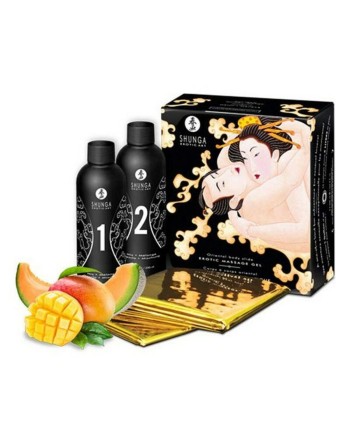 Kit Grand Plaisir Shunga SH7702 (2 pcs)