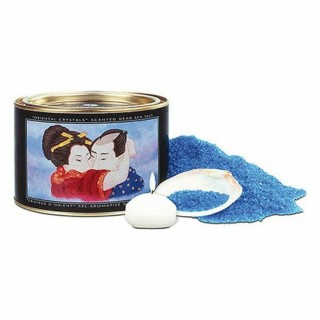 Les trésors de la mer Shunga Ocean Breeze (600 g) Océan (600 ml)