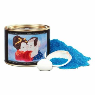Les trésors de la mer Shunga 9067003 Afrodisíaco (600 g) (600 ml)